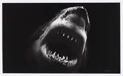Bruce by Robert Longo, 2014, Pigmentdruck auf Papier, sold Jun 2019