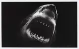 Bruce by Robert Longo, 2014, Pigmentdruck auf Papier, sold Jun 2019