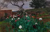 Friedrich Kallmorgen, Sommergarten mit Blick über Grötzingen