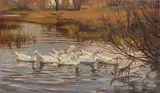 Franz Gräßel, Weiße Enten im Wasser, 1932, Oil on canvas