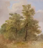 Carl Spitzweg, Baumstudie