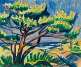 Max Pechstein, Kiefer in den Dünen, Wohl 1911, Watercolor over pencil