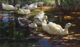 Alexander Koester, Sieben Enten im schattigen Waldteich, Um 1910, Oil on canvas