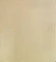 Joseph Marioni, White Painting, 1992, Acrylic on canvas