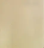 Joseph Marioni, White Painting
