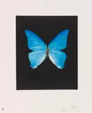 Providence by Damien Hirst, 2009, Etching and aquatint, sold Jun 2018