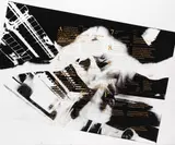 Martin Kippenberger, I.N.P., 1984, Screenprint in colours, on painted canvas over wooden stretcher (as issued),