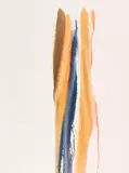 Paul Jenkins, Phenomena Upright