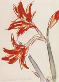 Christian Rohlfs, Roter Amaryllis