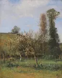 Louis Aimé Japy, Apfelblüte, Wohl um 1890, Oil on canvas