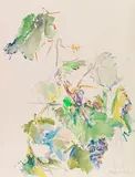 Oskar Kokoschka, Weinlaub, 1964, Watercolor