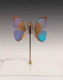 Rebecca Horn, Schmetterling