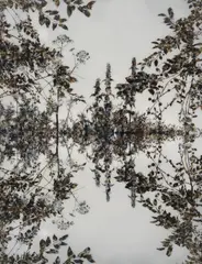 Stefan Sehler, Ohne Titel, 2009, Acrylic