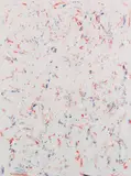 Chris Succo, Untitled (Model Looks Good), 2015, Oil