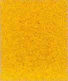 Kuno Gonschior, Gelb, 1995, Oil on canvas