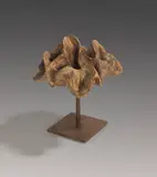 Emil Cimiotti, Vegetatives Motiv