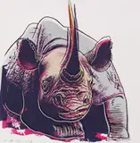Rhinoceros (Endangered Species) by Andy Warhol, 1983, Silkscreen in colors, sold Jun 2017
