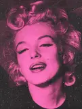 Russell Young, Marilyn Hope (Persian Rose), 2014, Mixed media on canvas
