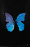 The Soul on Jacob´s Ladder by Damien Hirst, 2005, Silkscreen in colors, sold Jun 2017