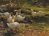 Alexander Koester, Enten am Brünnele