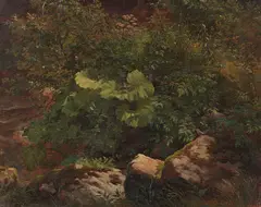 Gustav Friedrich Papperitz, Pflanzenstudie, Ca. 1860/1880, Oil