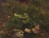 Gustav Friedrich Papperitz, Pflanzenstudie, Ca. 1860/1880, Oil