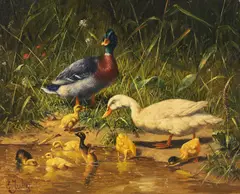 Carl Jutz, Enten mit Jungen am Wasser, Oil on panel