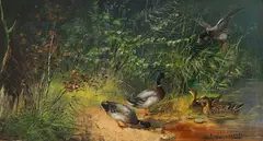 Julius Scheuerer, Enten am Teich, Ca. 1880/90, Oil on panel