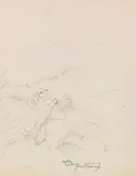 Carl Spitzweg, Gestürzte Wetterfichte, Ca. 1850/1860, Pencil drawing
