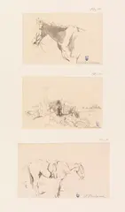 Ludwig Hartmann, 4 Bll.: Pferdeskizzen, Pencil drawing