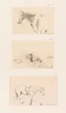 Ludwig Hartmann, 4 Bll.: Pferdeskizzen, Pencil drawing