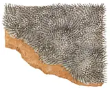 Günther Uecker, Ohne Titel (Vision Rapperswil Nr. 11), 1982, Mixed media
