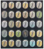 Konrad Klapheck, Einer und Viele (Un dans la foule), 1961, Oil on canvas