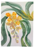 Emil Nolde, Orchideenzweig, Um 1925/1930, Watercolor