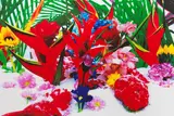Marc Quinn, Winter Garden