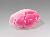 Erwin Wurm, Car Dumpling