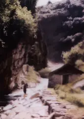 Gerhard Richter, Ravine, 1997, Photography