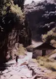 Ravine by Gerhard Richter, 1997, Photography, sold Dec 2016