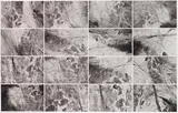 128 Fotos von einem Bild (Halifax 1978) II by Gerhard Richter, 1998, Portfolio, sold Dec 2016