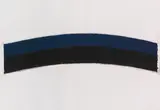Coloured Paper Image III (Blue/Black Curve) by Ellsworth Kelly, 1976, Print, sold Dec 2016