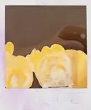 Sigmar Polke, Ohne Titel