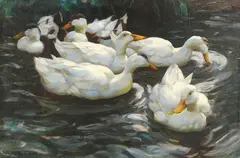 Alexander Koester, Sechs Enten im Wasser, Ca. 1900-1905, Oil on canvas