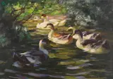Sechs Enten auf dem Wasser unter Ufersträuchern by Alexander Koester, Um 1905, Oil on canvas, sold Nov 2016