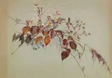 Sophie de Niederhäusern, Herbstlicher Strauß, Ca. 1880-1910, Gouache