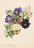Caroline Therese Friedrich, Kleiner Strauß mit Stiefmütterchen, Apfelblüten und Primeln, Ca. 1870-1890, Watercolor