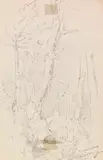 Carl Spitzweg, Waldstudie, Ca. 1856, Pencil drawing