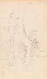 Carl Spitzweg, Baumstudie, 1856, Pencil drawing