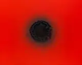 Otto Piene, Luther Rose