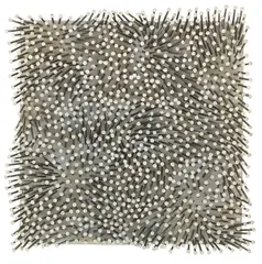 Günther Uecker, Weißes Feld, 1988, Mixed media