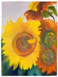 Sonnenblumen by Emil Nolde, Um 1930, Watercolor, sold Jun 2016